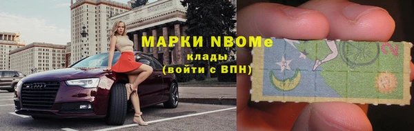 сатива Нефтекумск