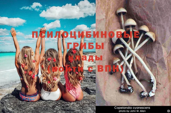 ECSTASY Нефтегорск