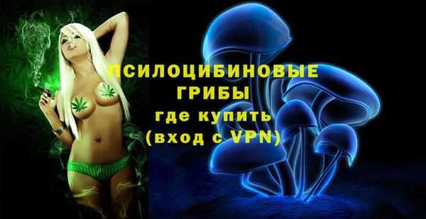 mdpv Нея