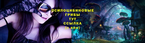 mdpv Нея