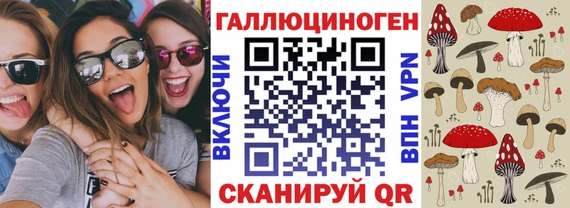 darknet Telegram  Красный Холм  кракен как войти  Галлюциногенные грибы GOLDEN TEACHER  дарнет шоп 